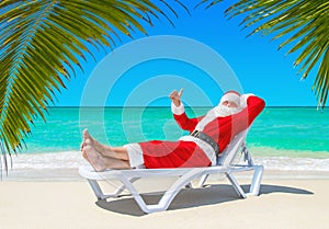 Santa Claus thumbs up gesturing on sunlounger at tropical palm b