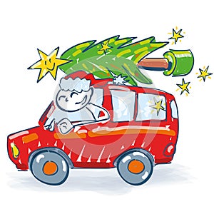 Santa Claus transports christmas tree with a car