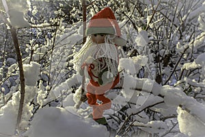 Santa Claus in tree snow garden winter time