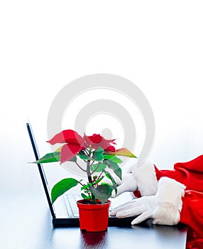 Santa Claus typing computer laptop white hand glove red poinsettia