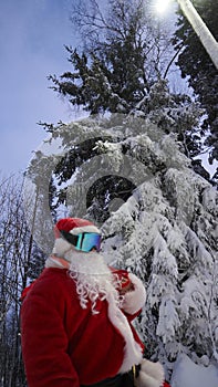 Santa Claus in a winter forest