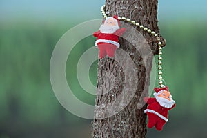 Santa Clause on the tree