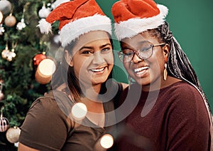 Santa couldnt make it so he sent us. Portrait of two happy young women celebrating Christmas at home.