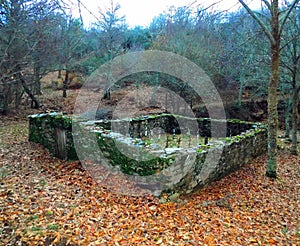 Santa Cruz de los CuÃ©rragos cementery photo