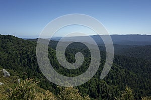 Santa Cruz mountains in Castle Rock