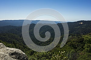 Santa Cruz mountains in Castle Rock