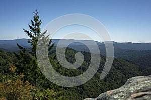 Santa Cruz mountains in Castle Rock