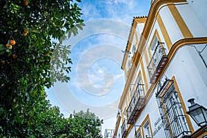 Santa Cruz neighborhood also known as the Juderia or Jewish quarter of Seville. photo