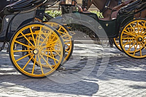 Santa Cruz Neighborhood Horse drawn carriages, Seville, Spain