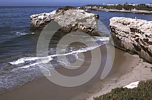 Santa Cruz Seashore