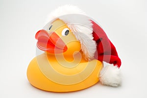 Santa Duck