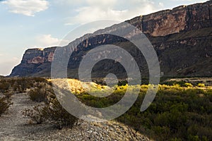 Santa Elena Canyon, Big Bend National Park, USA, showing evening sunrays.