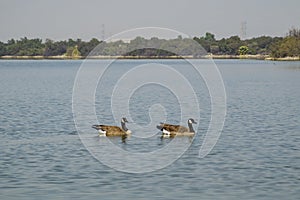 Santa Fe Dam Recreation Area