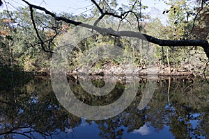 On the Santa Fe river