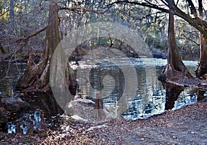 Santa Fe River at  O`Leno State Park in Florida