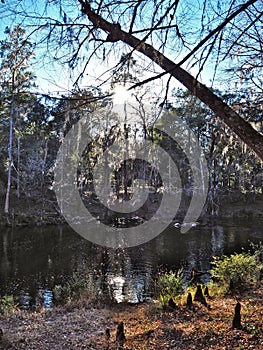 Santa Fe River at  O`Leno State Park in Florida