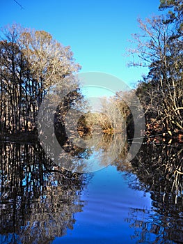 Santa Fe River at  O`Leno State Park in Florida