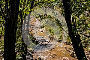 Santa Fe River Scenery