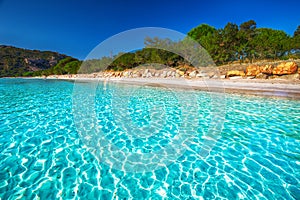 Santa Giulia beach with azure clear water, Corsica, France photo
