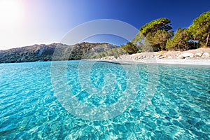 Santa Giulia sandy beach with pine trees and azure clear water, Corsica, France