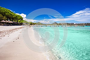 Santa Gulia sandy beach with pine trees and azure clear water, Corsica, Fran