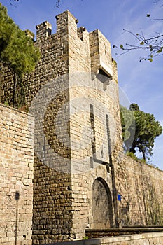 Santa Madrona Door. Barcelona