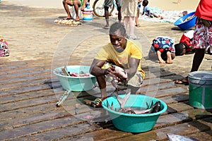 Fish market at Santa Maria, Sal Island, Cape Verde