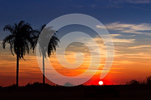 Santa Maria de Fe, Misiones, Paraguay - Sunset Hour on the Prairie outside Santa Maria photo