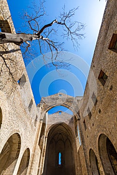 Santa Maria dello Spasimo roofless church in Palermo, Italy photo