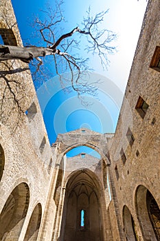 Santa Maria dello Spasimo roofless church in Palermo, Italy photo