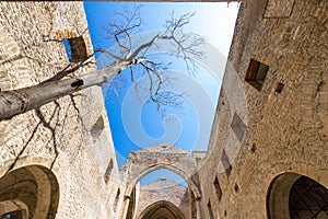 Santa Maria dello Spasimo roofless church in Palermo, Italy photo