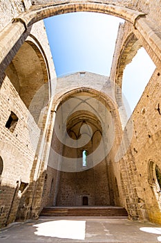 Santa Maria dello Spasimo roofless church in Palermo, Italy photo