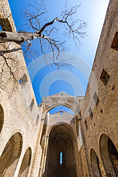 Santa Maria dello Spasimo roofless church in Palermo, Italy photo