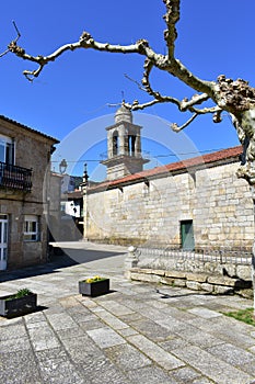 Santa Maria Magdalena medieval church, side view with baroque tower and tree. Ribadavia, Spain.