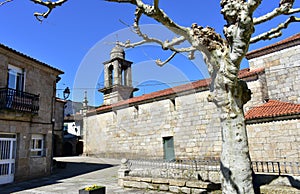 Santa Maria Magdalena medieval church, side view with baroque tower and tree. Ribadavia, Spain.