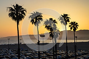 Santa Monica Sunset photo