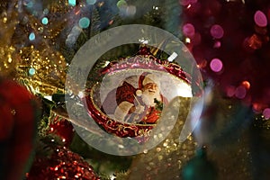 Santa Ornament in Christmas Tree