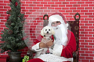 Santa Paws with white puppy dog horizontal