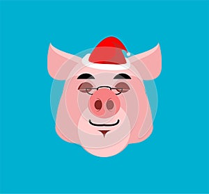 Santa Pig sleep Emoji. Christmas Dream . Piggy with eyes closed.