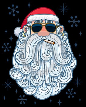 Santa Portrait 3 - Cool