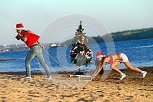 Santa pulling Christmas tree