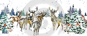 Santa Reindeers. watercolor winter forest animal. holidays background. Happy New Year banner