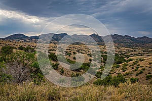 Santa Rita Mountains Arizona