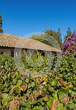 Santa Rita Winery near Santiago de Chile photo