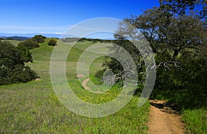 Santa Rosa Plateau in spring