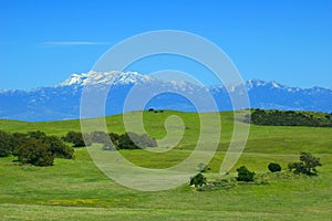 Santa Rosa Plateau in spring