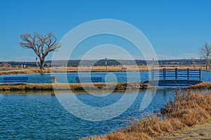 The Santa Rosa Pond is for Minors and Seniors fishing only. Located in Santa Rosa, Guadalupe County, New Mexico