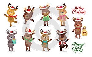 Santa`s Reindeer Set. Vector illustrations of reindeer isolated on white background.