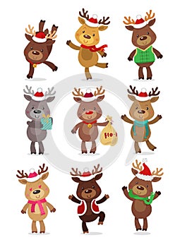 Santa`s Reindeer Set. Vector illustrations of reindeer isolated on white background.