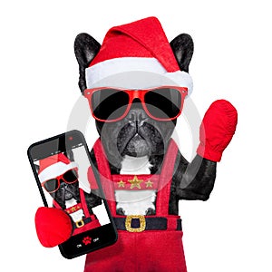 Santa selfie dog